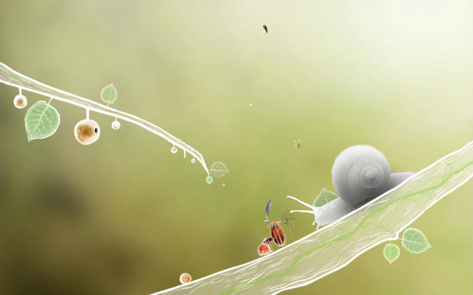 botanicula Story 2