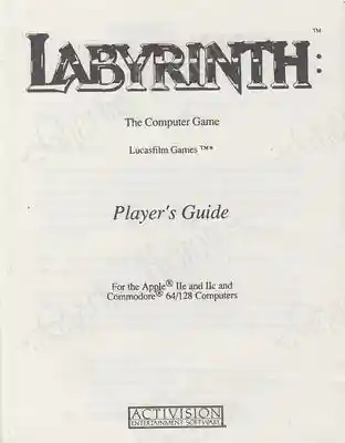 Labyrinth manuale fronte